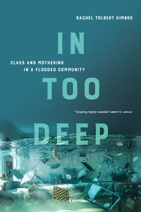 In Too Deep_cover