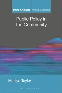 Public Policy in the Community_cover