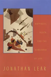 Happiness, Death, and the Remainder of Life_cover