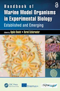 Handbook of Marine Model Organisms in Experimental Biology_cover