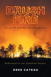 Brush Fire_cover