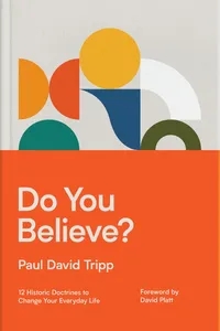 Do You Believe?_cover