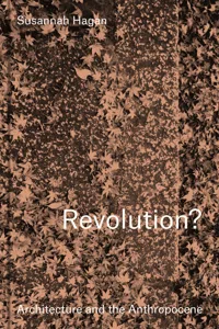 Revolution?_cover