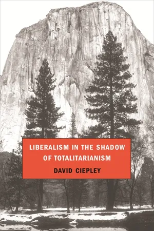 Book cover image for: Liberalism in the Shadow of Totalitarianism