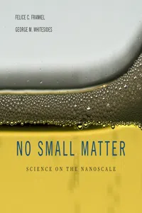 No Small Matter_cover