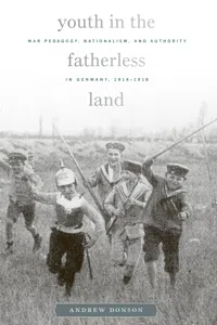Youth in the Fatherless Land_cover