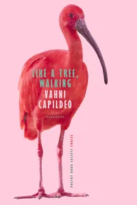 Like a Tree, Walking_cover