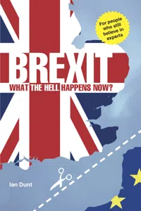 Brexit: What the Hell Happens Now?_cover
