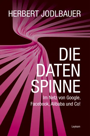 Die Datenspinne