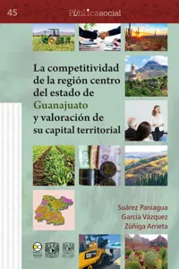 La competitividad de la región centro del estado de Guanajuato y valoración de su capital territorial_cover