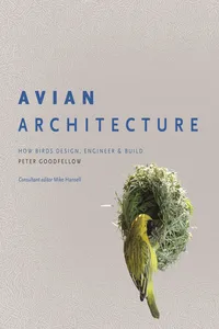 Avian Architecture_cover