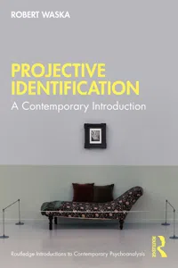 Projective Identification_cover