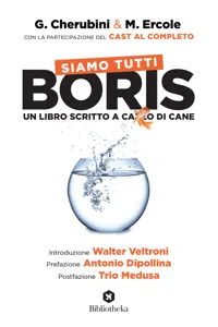 Siamo tutti Boris_cover