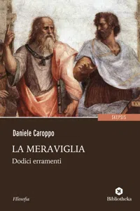 La meraviglia_cover