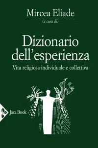 Dizionario dell'esperienza_cover