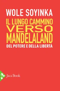 Il lungo cammino verso Mandelaland_cover