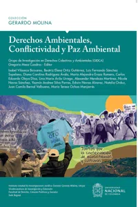 Derechos Ambientales, conflictividad y paz ambiental_cover