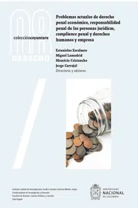 Problemas actuales de derecho penal económico, responsabilidad penal de las personas jurídicas, compliance penal y derechos humanos y empresa_cover