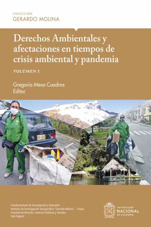 Derechos Ambientales y afectaciones en tiempos de crisis ambiental y pandemia, volumen I