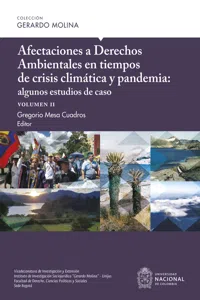 Afectaciones a Derechos Ambientales en tiempos de crisis climática y pandemia: algunos estudios de caso, volumen II_cover