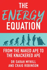 The Energy Equation_cover