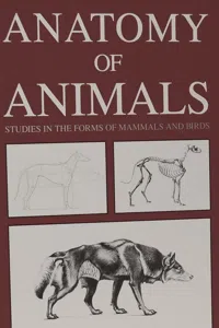 Anatomy of Animals: Studies in the Forms of Mammals and Birds_cover