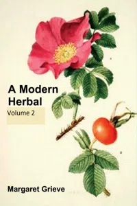 A Modern Herbal_cover