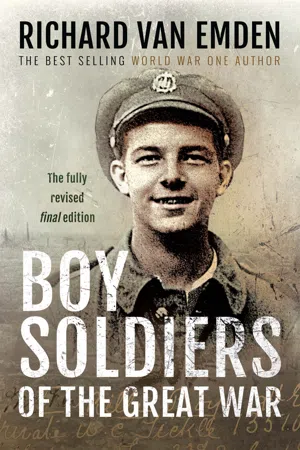 Boy Soldiers of the Great War