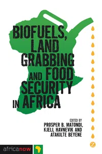 Biofuels, Land Grabbing and Food Security in Africa_cover