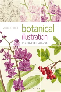 Botanical Illustration_cover