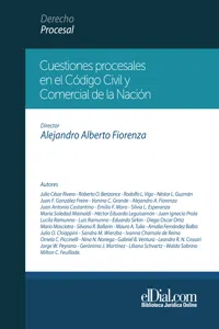 Cuestiones procesales en el Código Civil y Comercial de la Nación_cover
