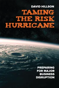 Taming the Risk Hurricane_cover