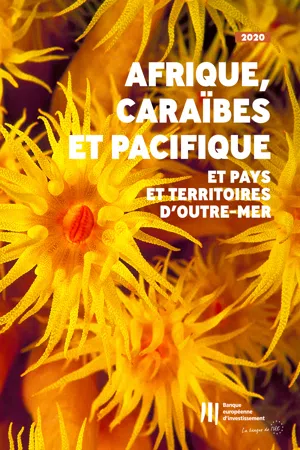 Activité de la BEI en Afrique, dans les Caraïbes et dans le Pacifique ainsi que dans les pays et territoires d'outre-mer