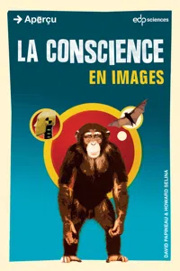 La conscience en images_cover