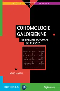 Cohomologie galoisienne_cover