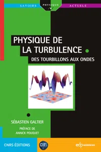 Physique de la turbulence_cover