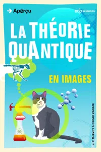 La théorie quantique en images_cover