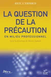 La question de la précaution en milieu professionnel_cover