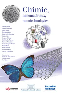 Chimie, nanomatériaux, nanotechnologies_cover