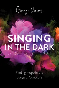 Singing in the Dark_cover