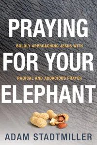 Praying for Your Elephant_cover