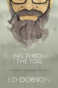 Seeing through the Fog_cover