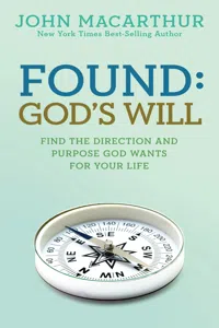 Found: God's Will_cover