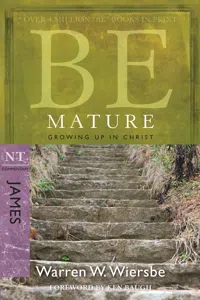 Be Mature_cover