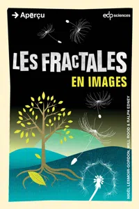 Les fractales en images_cover