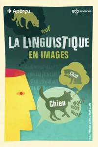 La linguistique en images_cover