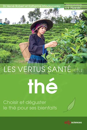 Les vertus santé du thé