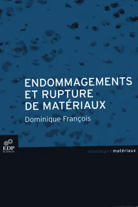 Endommagement et rupture des matériaux_cover