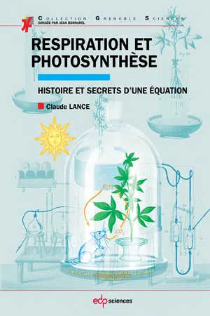 Respiration et photosynthèse