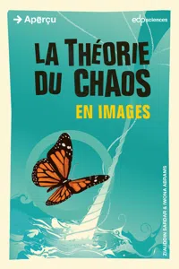 La théorie du chaos en images_cover